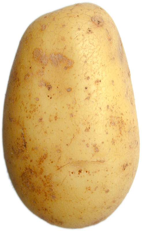 patate